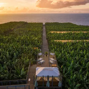 Hacienda La Dehesa (adults Only) , Buenavista Del Norte Spagna